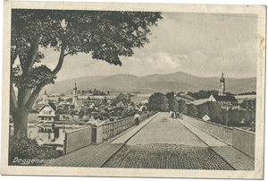 Donaubrücke Deggendorf 1918 Fest verwurzelt